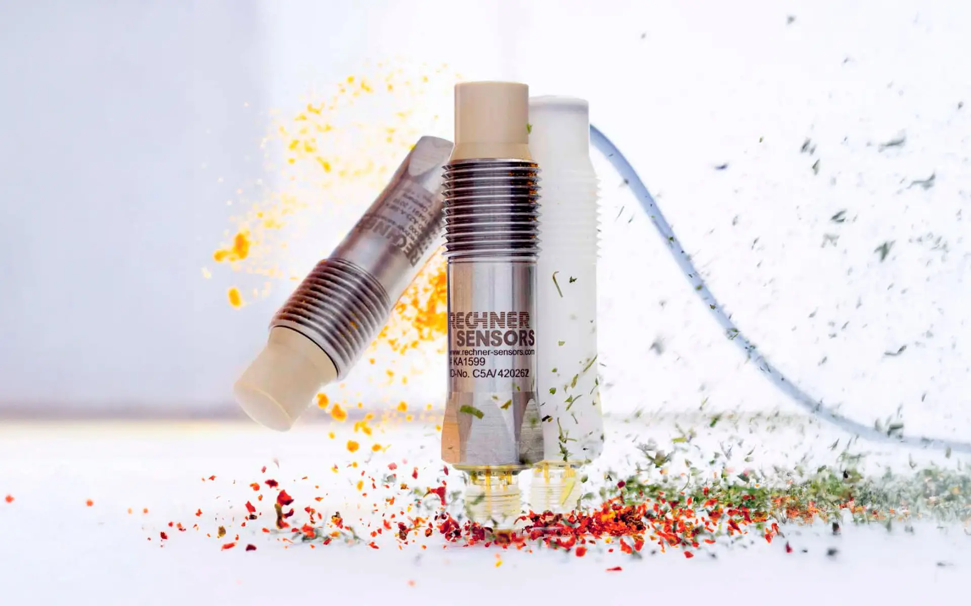 Sensores de Límite Rechner (Lleno/Vacío)